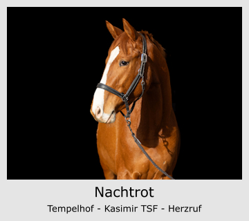 Nachtrot Tempelhof - Kasimir TSF - Herzruf