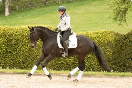 Dynamit a.d. Donjakina xx v. Zinad xx