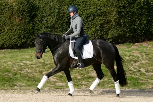 Donauaue von KASIMIR TSF