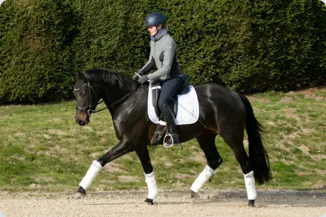 Donauaue von KASIMIR TSF