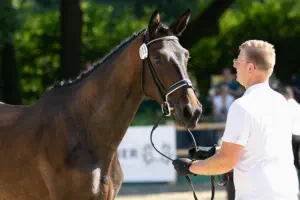 Königsgala von In Versuchung