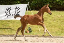 Königstempel von Tempelhof