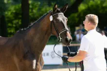 Königsgala von In Versuchung