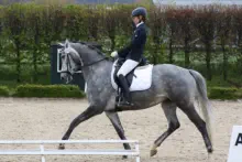 Königslilie von E.H. KASIMIR TSF