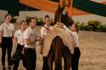 Nachteule (3-jährig) im Schaubild der Jungzüchter beim Gala-Abend des Trakehner Hengstmarktes 
