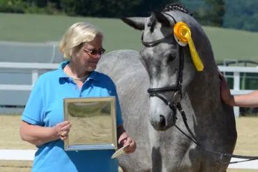 Zaubermusik - Trakehner Elitestute