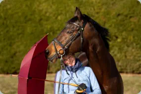 Intendant xx von Lando xx a.d. Incenza v. Local Suitor xx